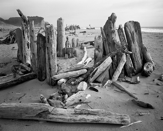 Shelter, Scott Creek 2006