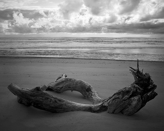 Recumbent Driftwood #2, Waddell 2006