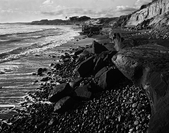 Ano Nuevo North, 2011