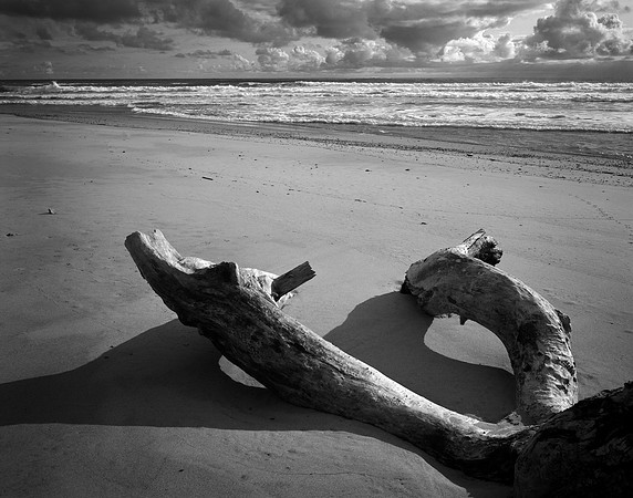 Recumbent Driftwood #1, Waddell 2006